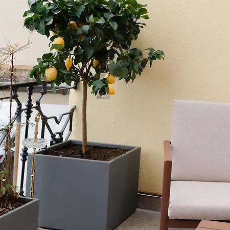 Apartman Belvedere237 Lakeview Terrace Luxury Ghiffa